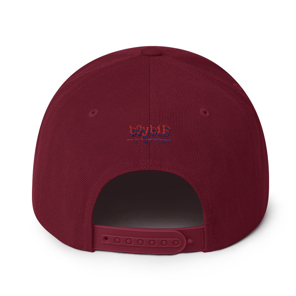 Me 2.0 - Snapback Hat